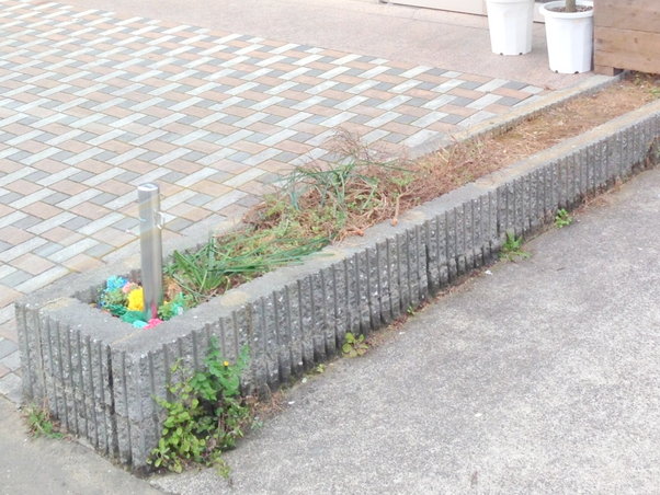 花壇を設置する前の場所